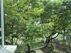 Blk 38C The River Vista @ Kallang (Kallang/Whampoa), HDB 4 Rooms #574072621
